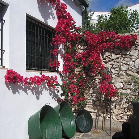 Гостевой дом Casa Rural Y Restaurante Casa Adriano Аланис Экстерьер фото