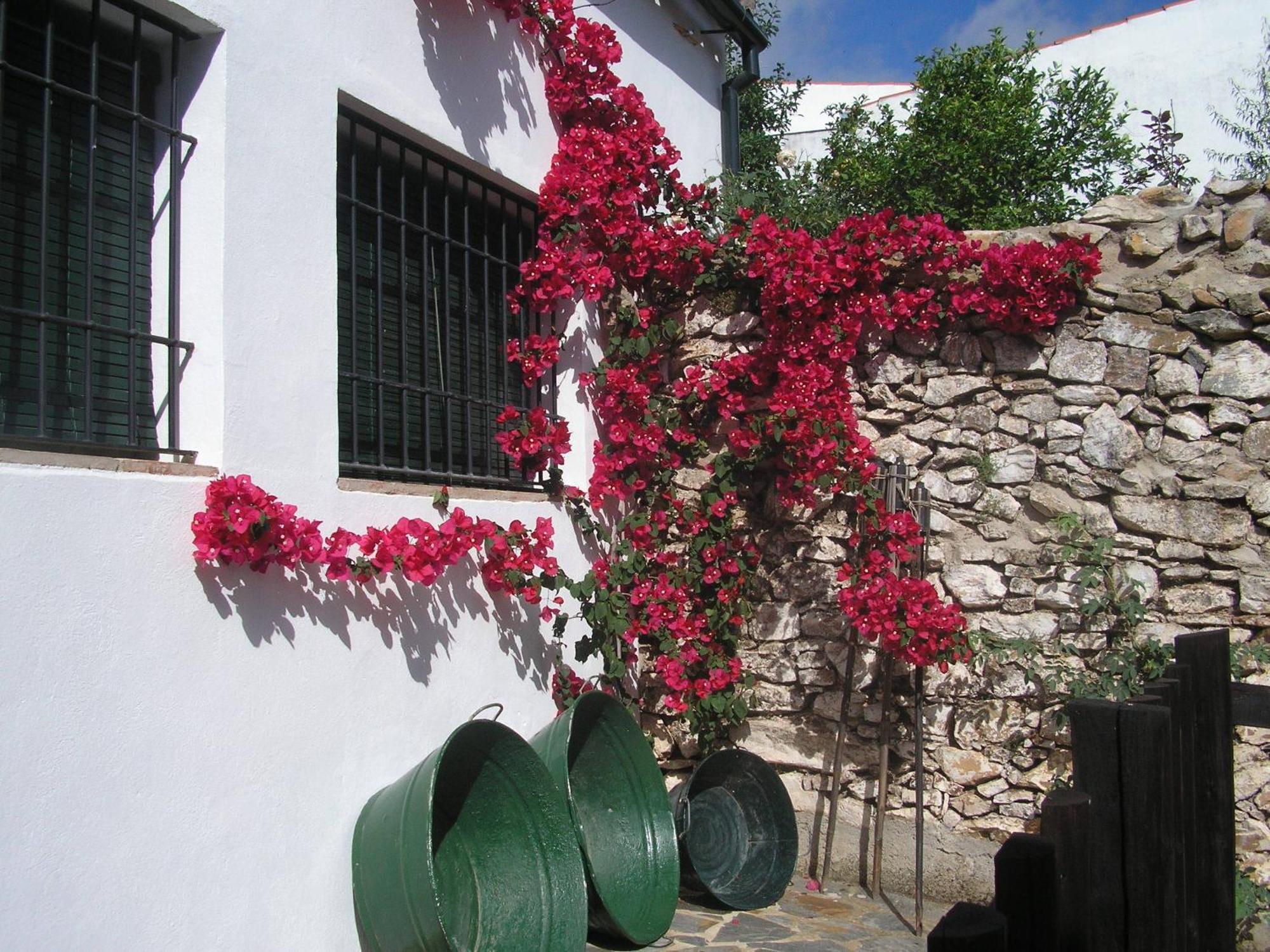 Гостевой дом Casa Rural Y Restaurante Casa Adriano Аланис Экстерьер фото